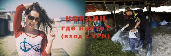 индика Белокуриха