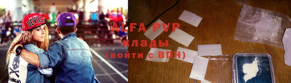 индика Белокуриха