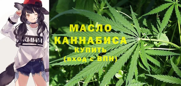 индика Белокуриха