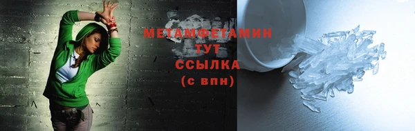 индика Белокуриха