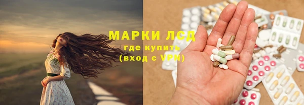 индика Белокуриха