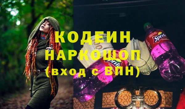индика Белокуриха