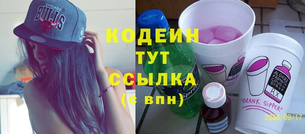 индика Белокуриха