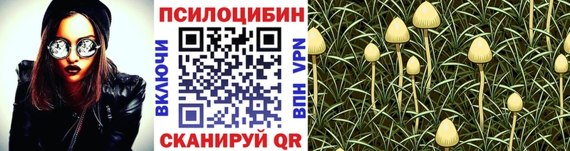 Галлюциногенные грибы Cubensis  Купить где  Майский 